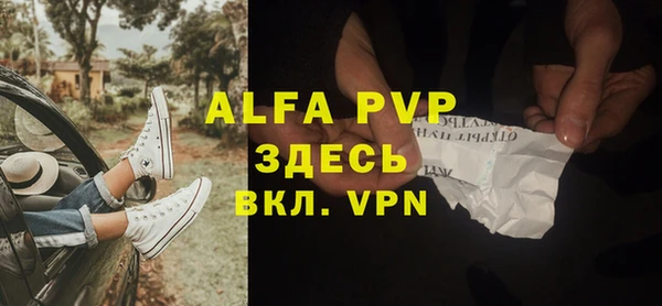 индика Карпинск