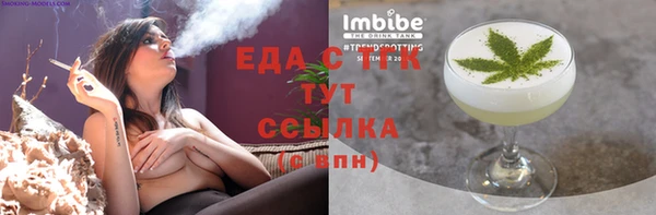 индика Карпинск