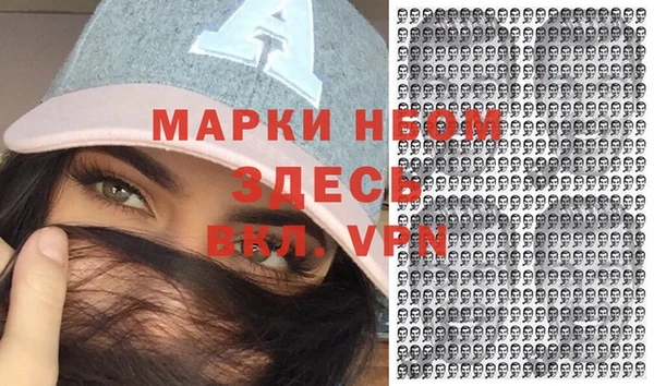 индика Карпинск